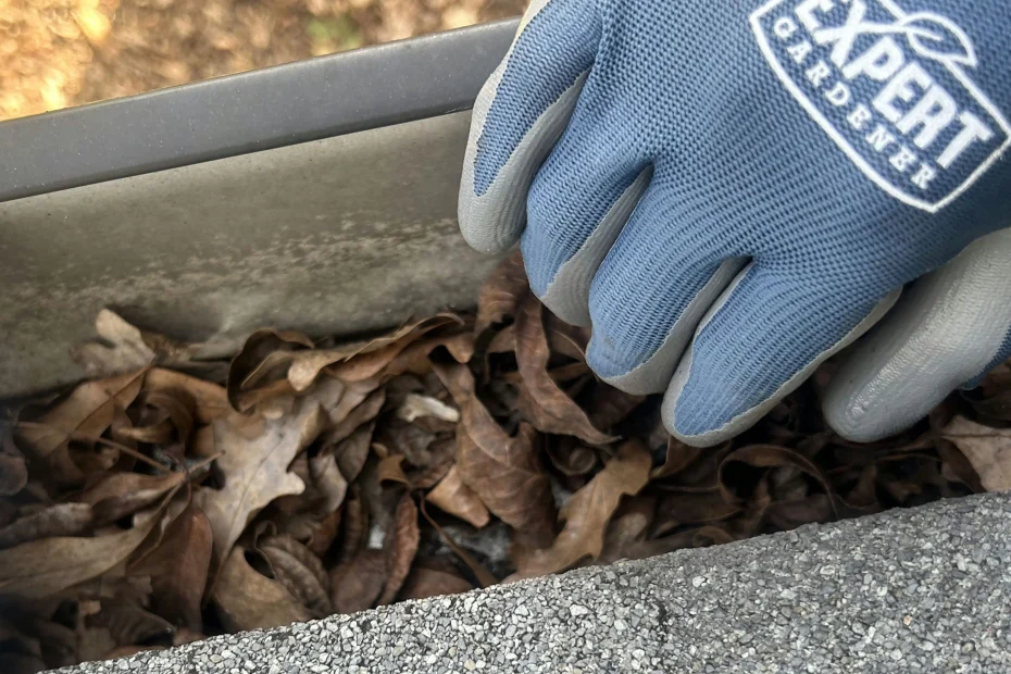 Gutter Cleaning Tioga