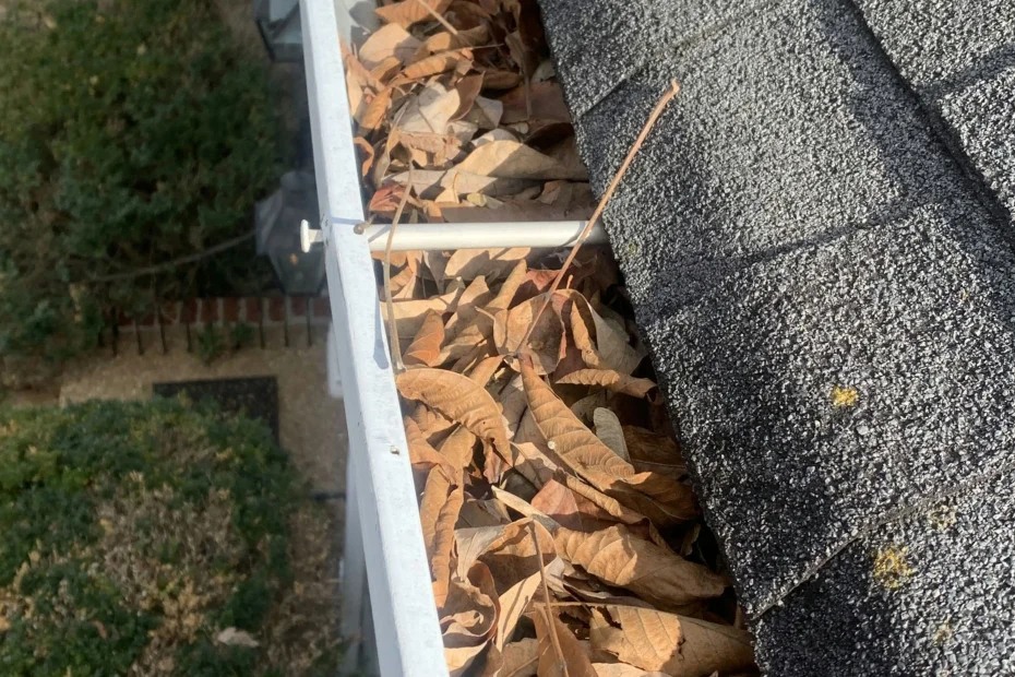 Gutter Cleaning Tioga