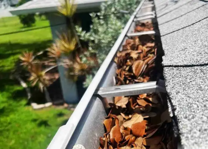 Gutter Cleaning Tioga home page